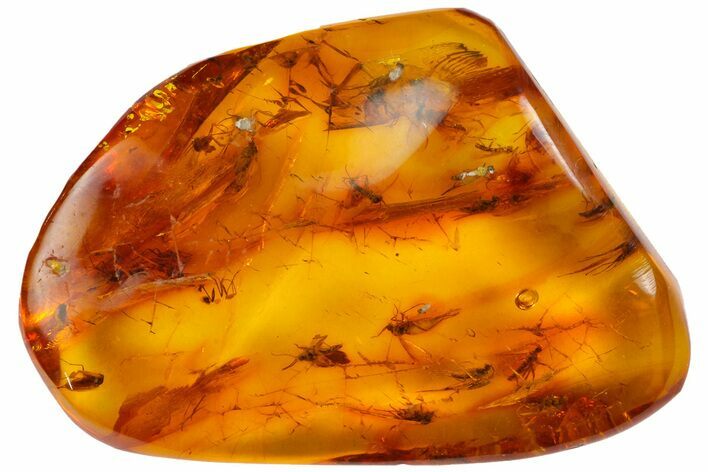 Fossil Fly Swarm (Diptera) In Baltic Amber - Over Flies! #183562